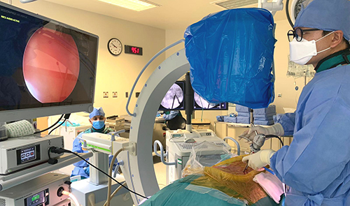 Endoscopic Fusion Surgery main page