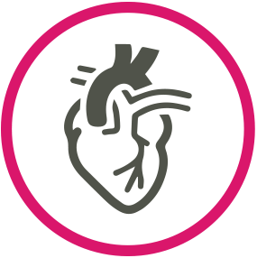 Cardiology Cardiology