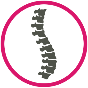 Spine Surgery Spine Surgery Hospital - University Hospital Sharjah