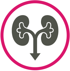 Urology Urology